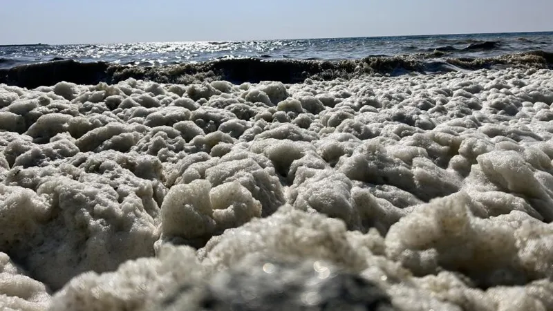 Akdeniz'de suyun yüzeyinde 'gizemli köpük' alarmı!