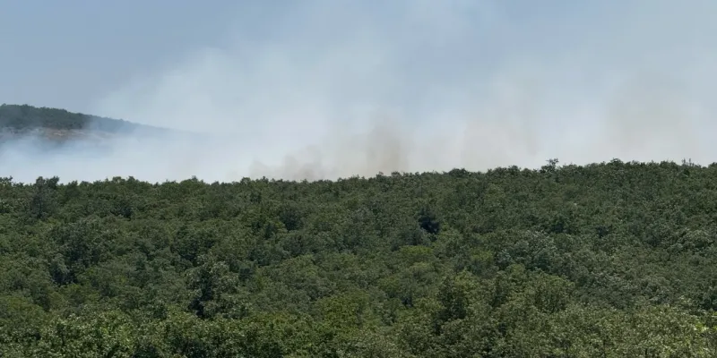 Bursa'da Orman Yangını! Alevler Yükseliyor, Helikopterler Devrede!