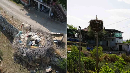 Çeyrek asırlık leylek yuvası mahallenin simgesi oldu