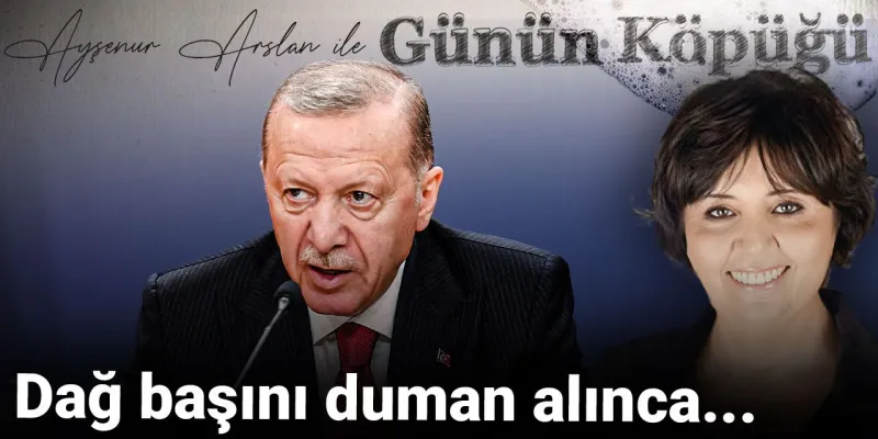 Dağ Başını Duman Aldı: Ayşenur Arslan'dan Şok Yorum!