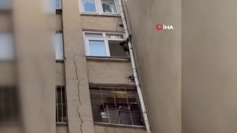 Tarsus'ta Maymun Paniği! Güvercin Avı Kamerada