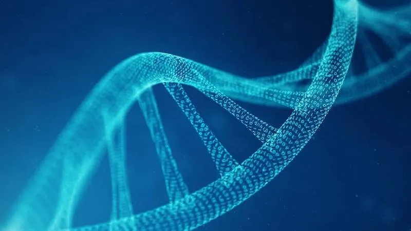 Yapay İnsan DNA'sı: Bilim Dünyası Alarmda! Neler Oluyor?