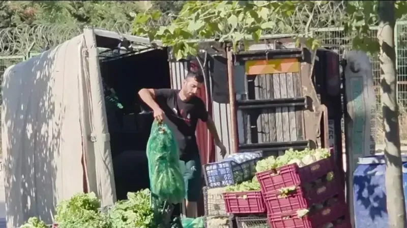 Küçükçekmece'de sebze yüklü kamyonet devrildi