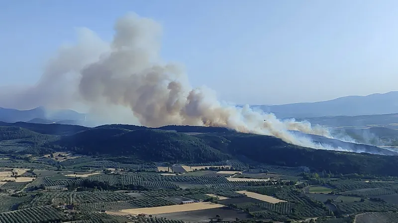 Manisa'da Orman Yangını Kabusu! Kontrol Altındayken Yeniden Alevlendi!