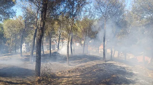 Manisa'da Korkutan Yangın! Otluk Alan Alevlere Teslim Oldu