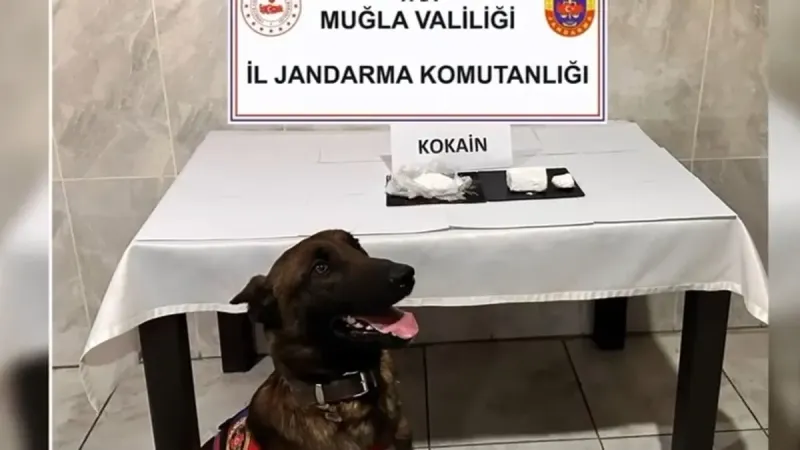 Muğla’da torbacı ağına darbe: 73 gözaltı, 43 tutuklama