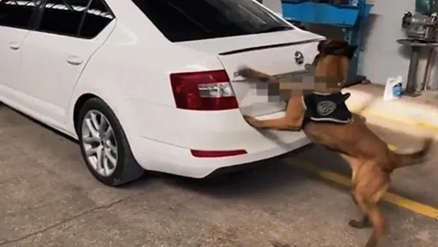 Van ve Şanlıurfa'da Zehir Tacirlerine Şok Baskın! 311 Kg Uyuşturucu Ele Geçti