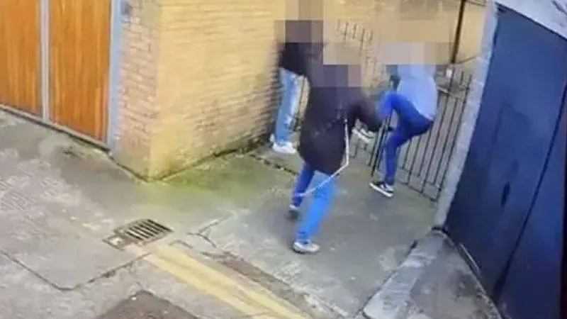 Dublin'de At Arabası Krizi: Turistler Kırbaçla Tehdit Edildi