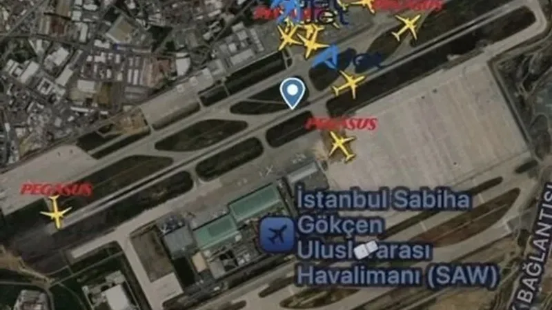 Sabiha Gökçen Havalimanı pistinde tavşan paniği