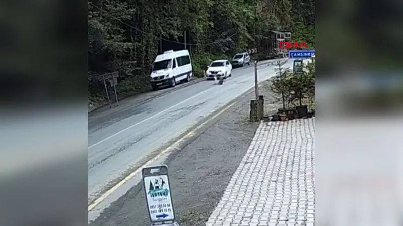 Rize'de Korkunç Anlar! Otomobilin Önüne Kaya Düştü!