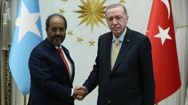 SON DAKİKA | Başkan Erdoğan Somali Cumhurbaşkanı Mahmud ile görüştü