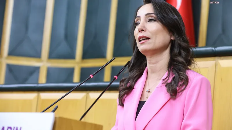 Tülay Hatimoğulları: Seçilmiş temsilcilere yönelik bu tutum kabul edilemez